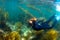 Diving in Japan, Teenage boy in cave, underwater, in wetsuit and snorkel, amongst seaweed