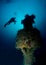 Diving, Rosalie Moller wreck in the Red Sea