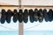 Diving shoes are drying. Underwater swimming equipment. Rubber diving boots