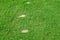 Divot on golf teeing ground