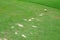 Divot on golf teeing ground