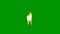 Diwali, diwali diya, diwali lamp,Signal Screen Effect 4K Animation. Twitch, green screen,