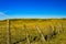 Dixon Ranch in summer. Grasslands. National Park Saskatchewan Canada