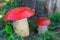 DIY artificial garden figures in the form of mushrooms with a red hat and a ladybug