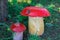 DIY artificial garden figures in the form of mushrooms with a red hat and a ladybug