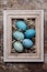 DIY dyed various shades of blue Easter eggs and vintage wooden picture frame mock up.
