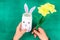 DIY Easter vase bunny from glass jar, felt, googly eyes on a green background