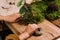 Diy home made kokedama. woman making traditional japanese moss ball at home with soil and rope. learning home gardening