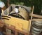 DIY wood burning outdoor pizza oven