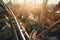 dizzying and dreamlike scene of a roller coaster, with the view from above showing the twists and turns