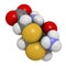 Djenkolic acid molecule. Toxic amino acid found in djenkol beans. 3D rendering. Atoms are represented as spheres with conventional