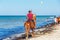 Djerba, Tunisia. July 19, 2016. A rider on a horse rides along a sandy beach