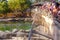 Djerba, Tunisia. July 24, 2016. A large crowd of tourists stands on the bridge and watches the process of feeding crocodiles on a