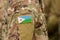 Djibouti flag on soldiers arm. Djibouti troops collage