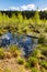 Dlugie Bagno wetland floodplain with spring greenery of Kampinos Forest in in Palmiry near Warsaw in Mazovia region of Poland