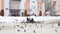 Dmitrov, Russia - March 10. 2018. family feeds pigeons on Sovetskaya Square