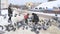 Dmitrov, Russia - March 10. 2018. family feeds pigeons on Sovetskaya Square