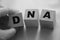 DNA abbreviation on wooden Building Blocks. Genetics concept