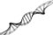 DNA, black helix model in healthcare and medicine and technology