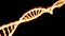 DNA, burning DNA helix, deoxyribonucleic acid is a nucleic acid that contains genetic information for the development and proper f