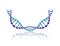 dna chain with curve science colorful icon