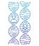 Dna chain with genders characters