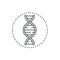 DNA chain - modern black line design style icon