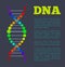 DNA Chain Part in Rainbow Colors on Info Poster