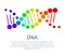 DNA Chain in Rainbow Colors on Scientific Poster