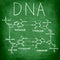 DNA chemistry structure on chalkboard