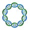 DNA circle Strand Loop