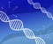 DNA Deoxyribonucleic acid abstract Structure on Blue Background