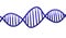 DNA Deoxyribonucleic acid abstract Structure header