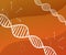 DNA Deoxyribonucleic acid abstract Structure on Orange Background