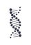 DNA Deoxyribonucleic Acid Chain Logo Design Icon