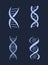 DNA Deoxyribonucleic Acid Chains Set, Nucleotide
