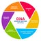 DNA develop nurture advance business IQ portfolio management business transition management powerful communications
