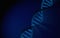 DNA Double helix, blue Detailed with blue background