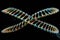 dna double helix, with complementary base pairs and bases visible