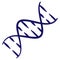 DNA double helix minimal vector icon drawn with brush line