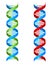 DNA Double Helix Molecule Illustration