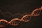 DNA double helix molecules on black background. 3D rendered illustration