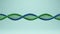 DNA Double Helix Spiral Molecule Science Biology Research Blue Green Cell Deoxyribonucleic Acid Biotechnology Gene Structure