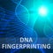Dna Fingerprinting Meaning Genetic Profiling 3d Illustration