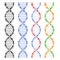 DNA Genome Molecules Set. Vector