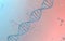 DNA genomes structure with division molecule, 3d rendering