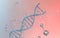 DNA genomes structure with division molecule, 3d rendering