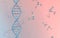 DNA genomes structure with division molecule, 3d rendering