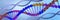 DNA helix. Chromosome