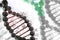 DNA helix DNA background genome sequencing